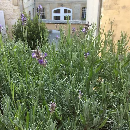Bed & Breakfast Maison Mertens Bayeux